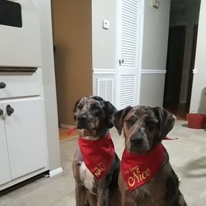 Meet your Posher, Jo